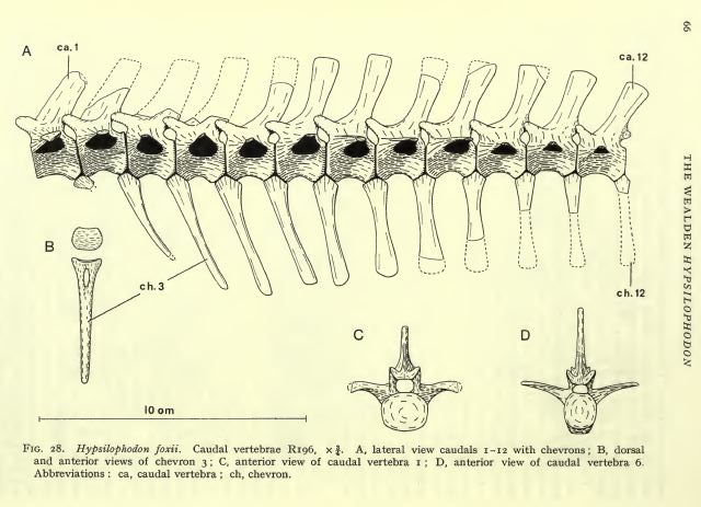 Image10